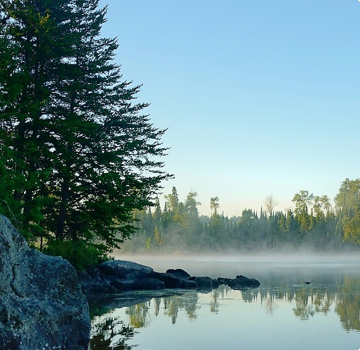 cove with trees, rock, and water