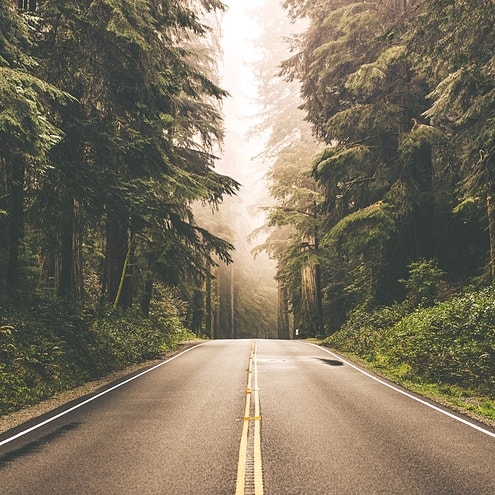 road through the forest